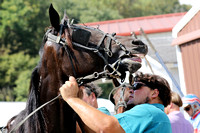 Harness Racing – ISFC at Harrison County Fairgrounds, 9.28.19