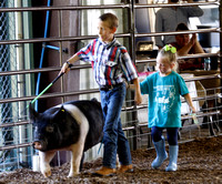 Crawford County Expo Tuesday, 7.10.19