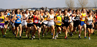 Cross country state meet, 11.2.19